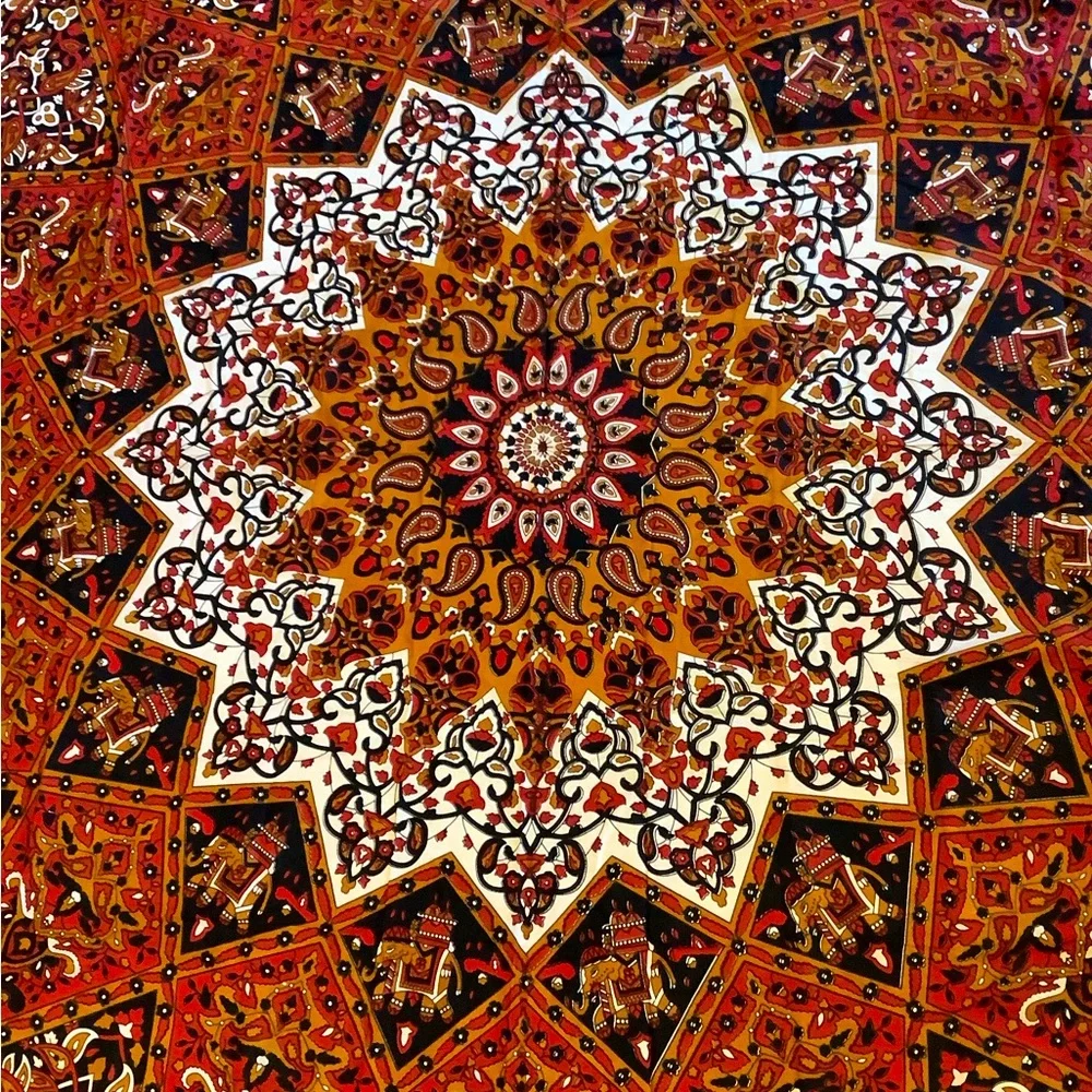 NEW IN PACKAGE- Tapestry -Large Wall Tapestry or really cool flat bed sheet!